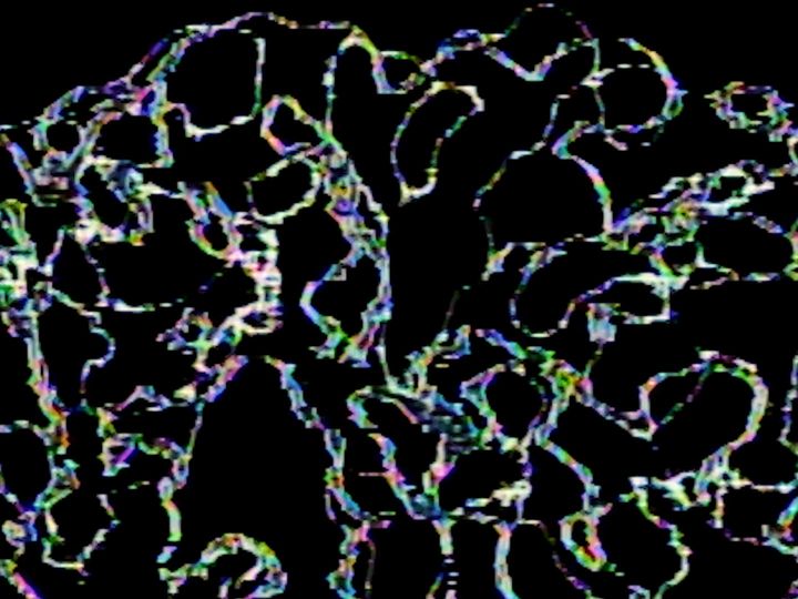 Still from the video: MORPHOGENESIS II