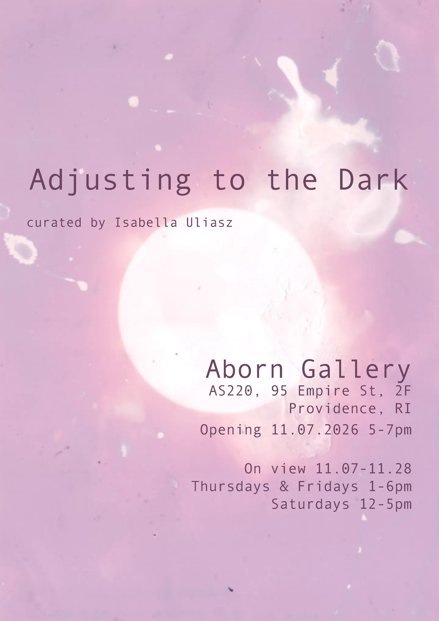 Flyer for an art exhibition titled Adjusting to the Dark