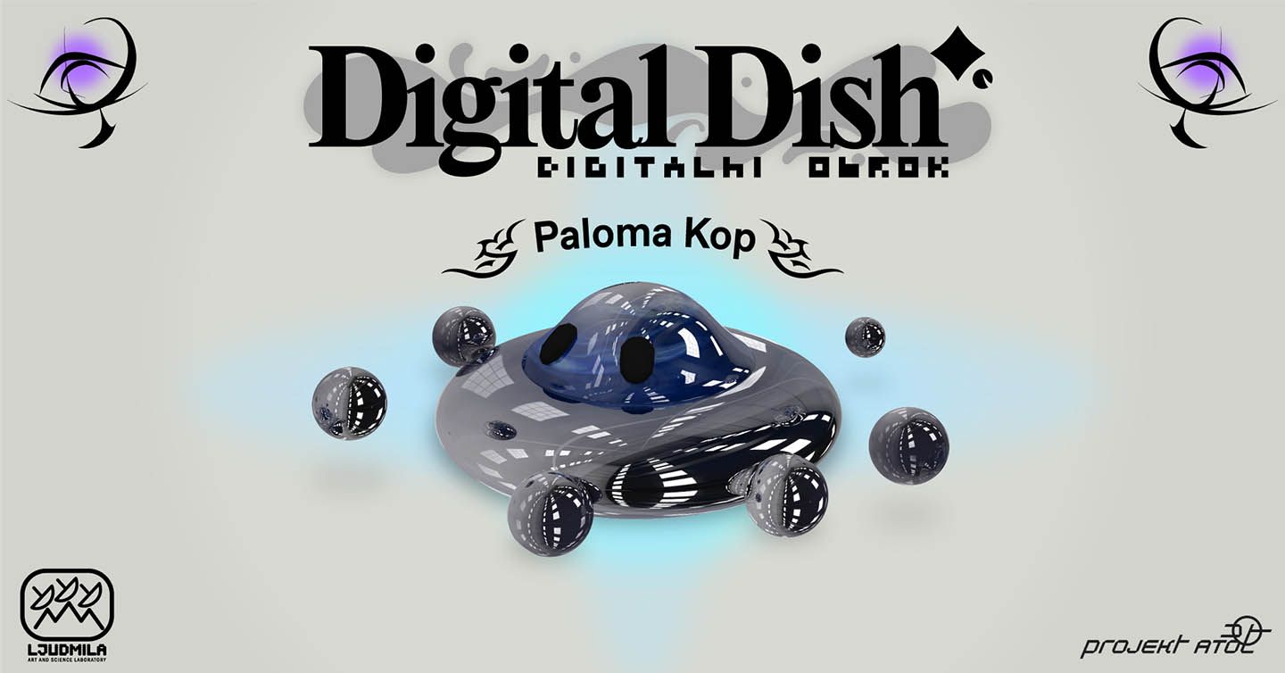 Flyer for Digital Dish