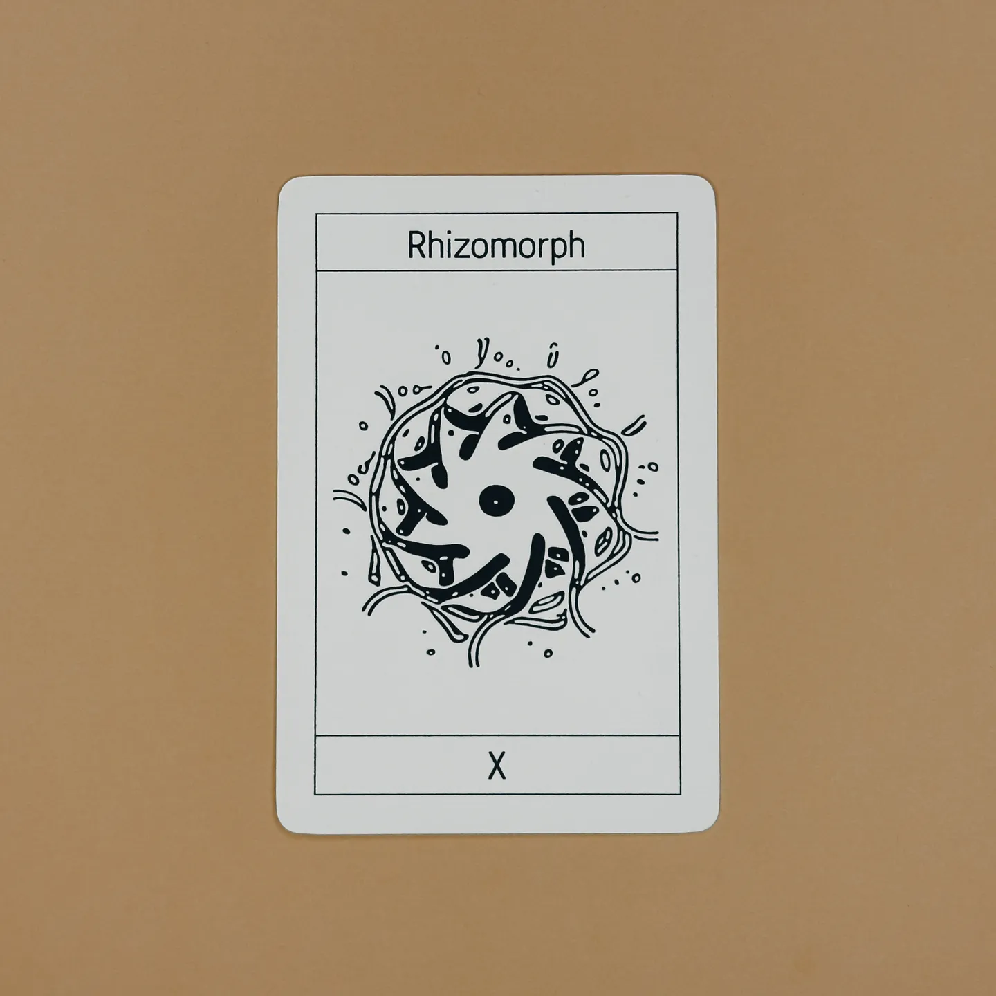 10. Rhizomorph