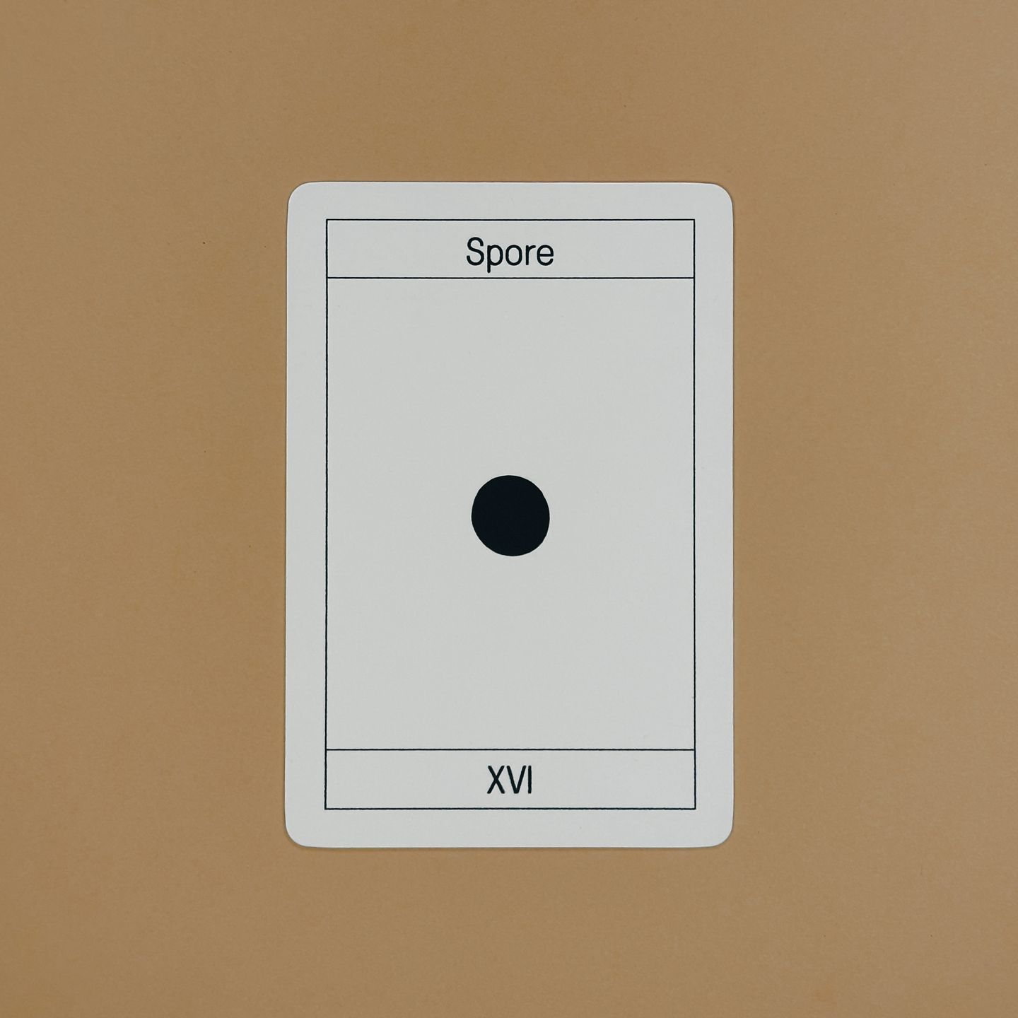 16. Spore