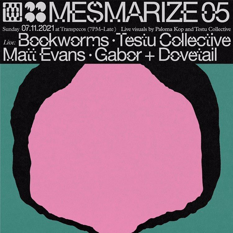 Flyer for MESMARISE05