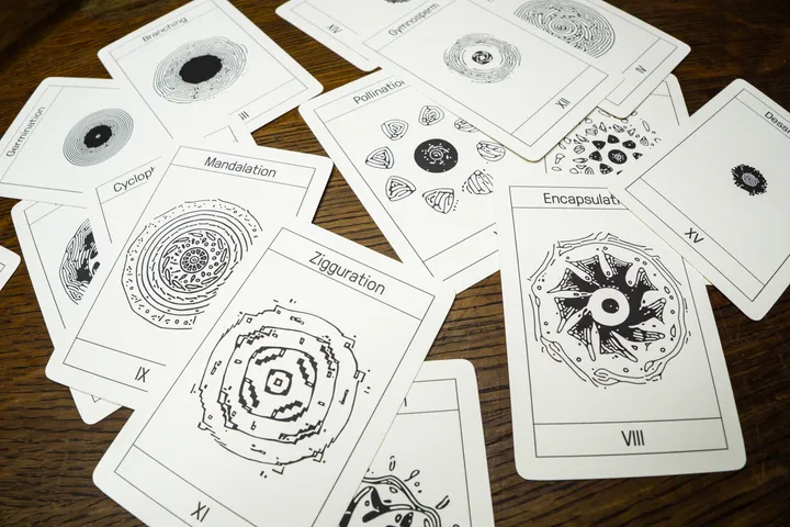 Life Cycle of Aritanian Flowers Card Set