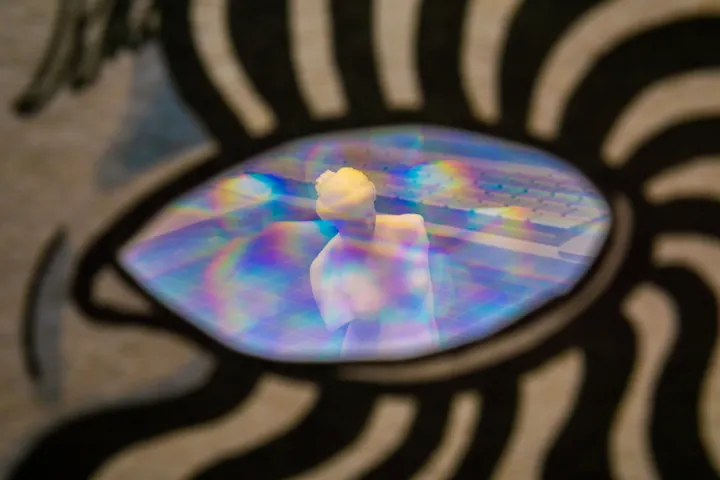 A New Way of Seeing Print