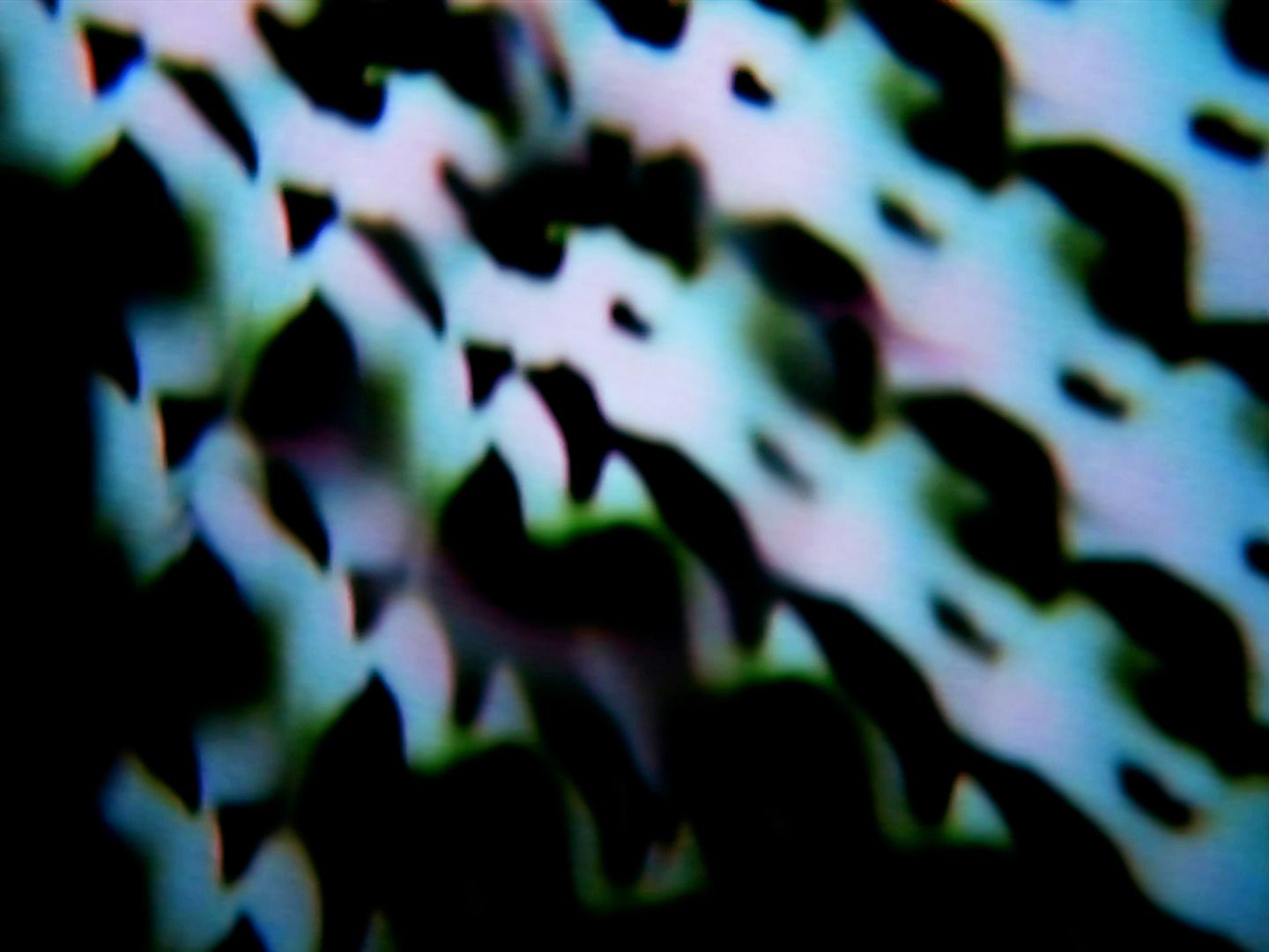 abstract video feedback still