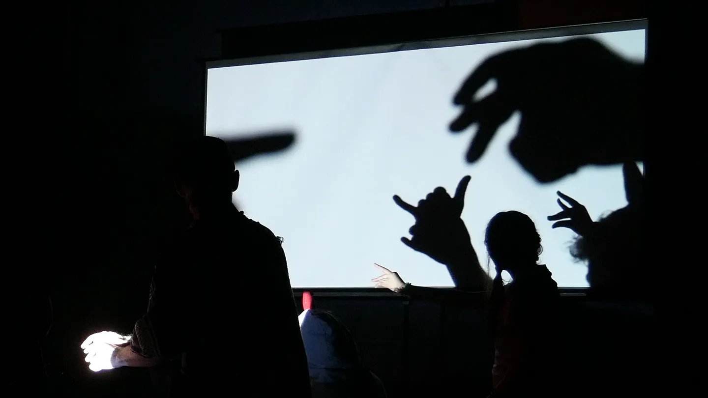 Shadow puppets