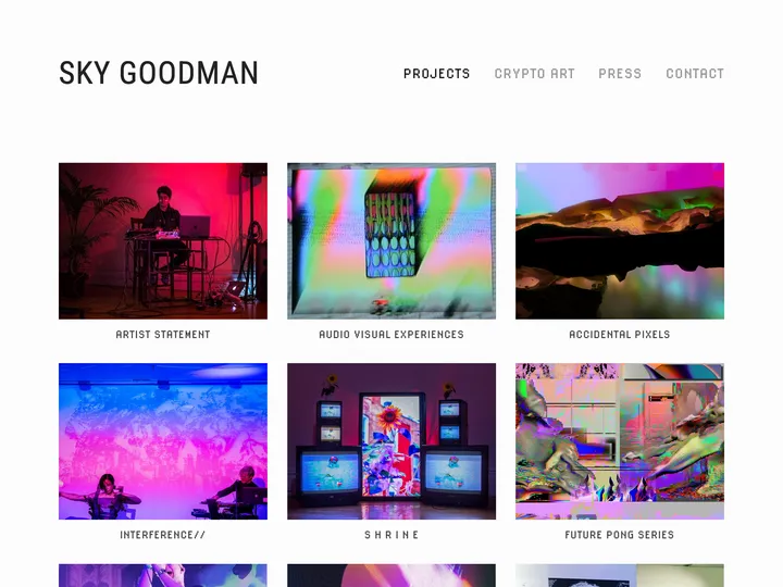 screenshot of Sky Goodman's website