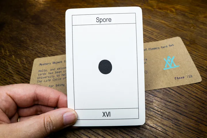 Life Cycle of Aritanian Flowers Card Set