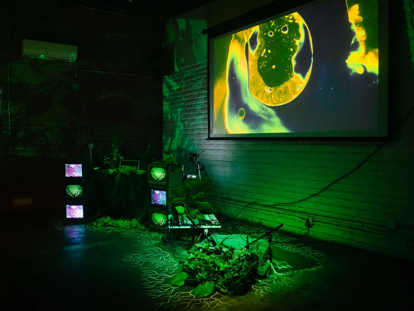 photo of synthetic forest, a dark room with plants, fog, and a video projector