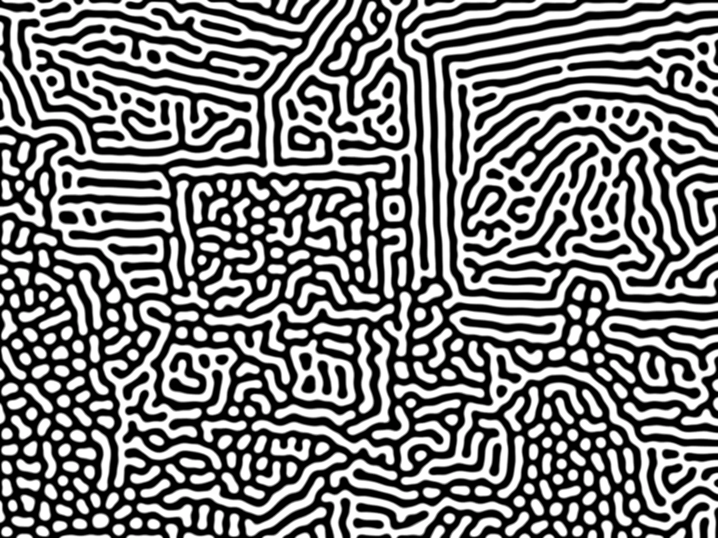 Turing pattern from UO visit photo