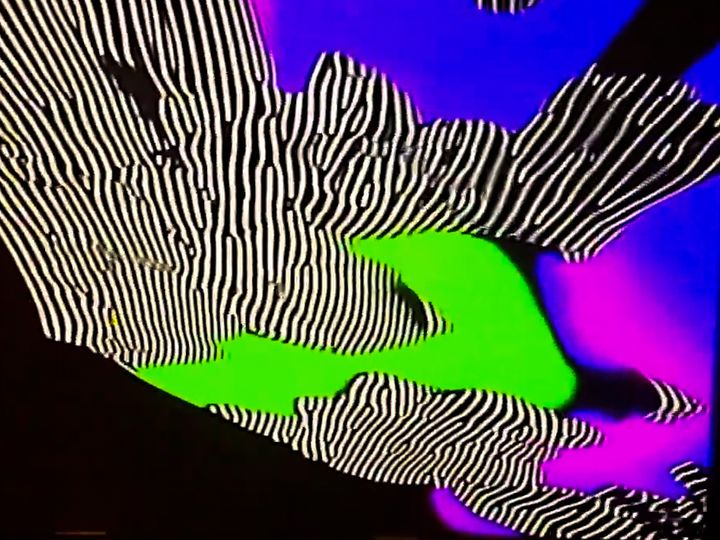 More camera feedback worms and blobs